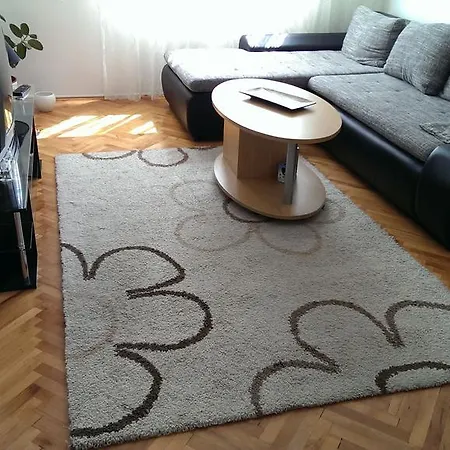 Apartment Zulic *